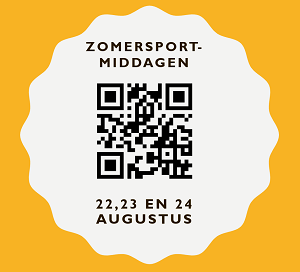 Lees meer over het artikel Zomersportmiddagen